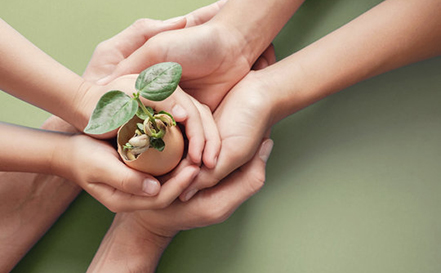 social-resposibility